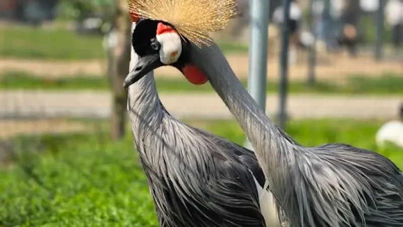 Podlaska Toskania – park zwierząt i rozrywki | Mini Zoo